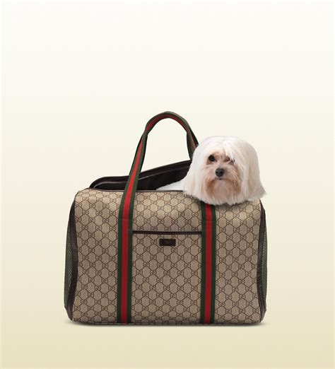 honden tas gucci|Designer Dog Carrier .